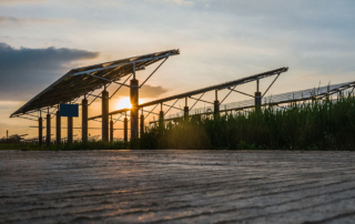Commercial solar panels in Arizona at sunset, showing smart energy investments by businesses this summer – Sun Energy Today.