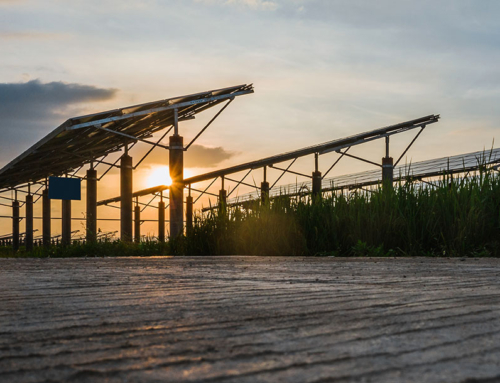 Why Arizona Businesses Are Investing in Solar This Summer