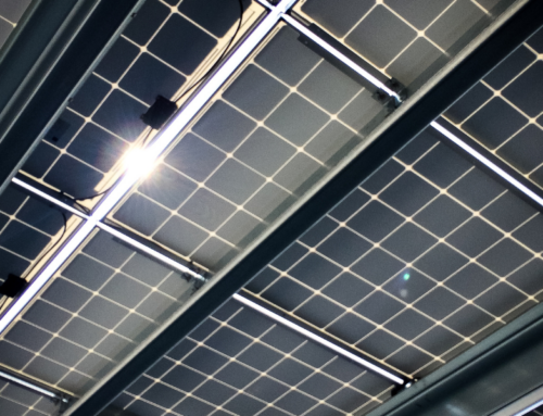 Why More Arizona Businesses Are Investing in Solar in 2025