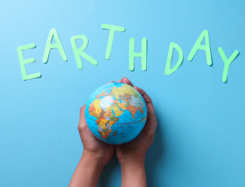 The Ultimate Earth Day Guide: Cultivating a Sustainable Home Lifestyle